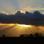 Nach dem Gewitter