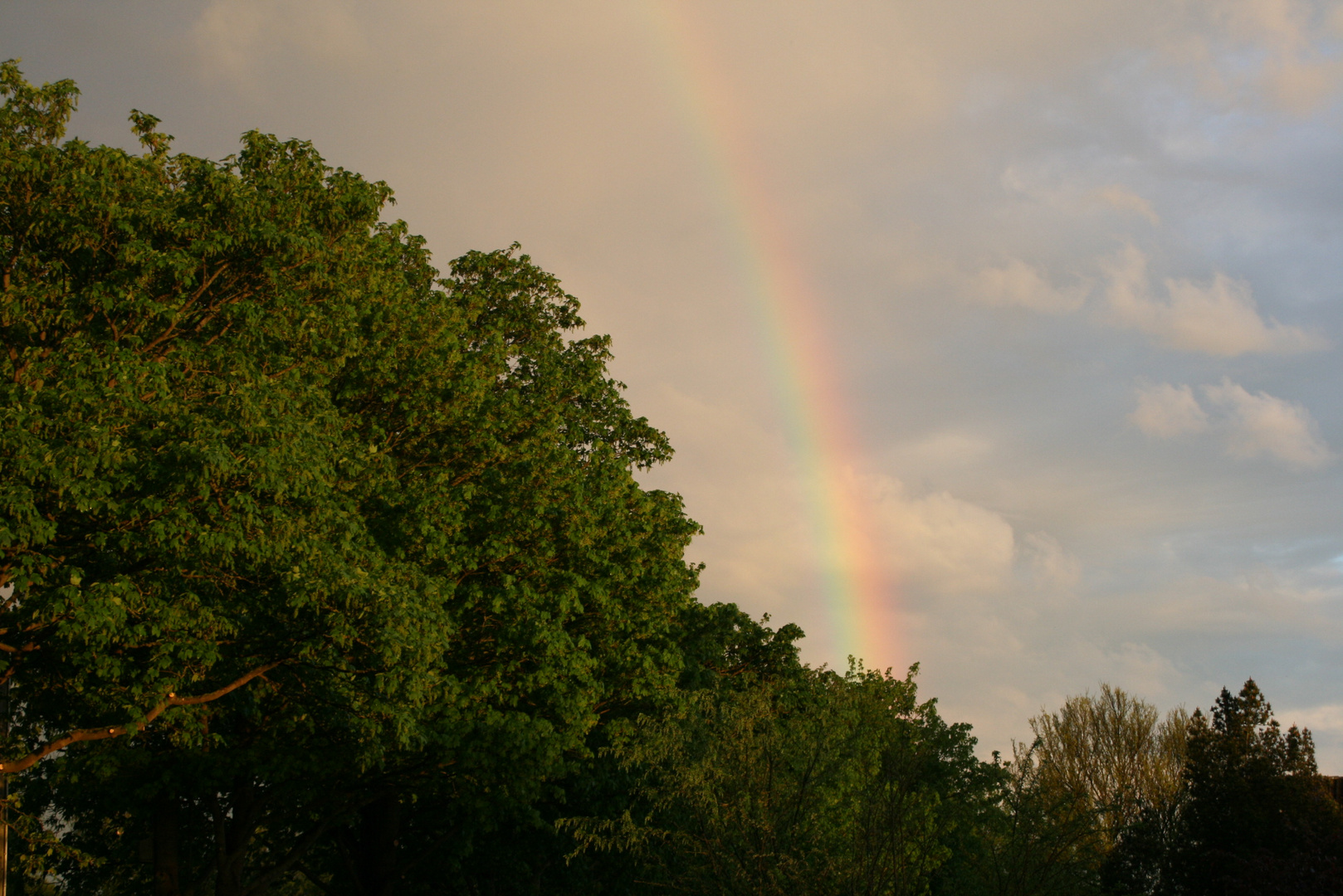 " Nach dem Gewitter "