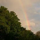 " Nach dem Gewitter "