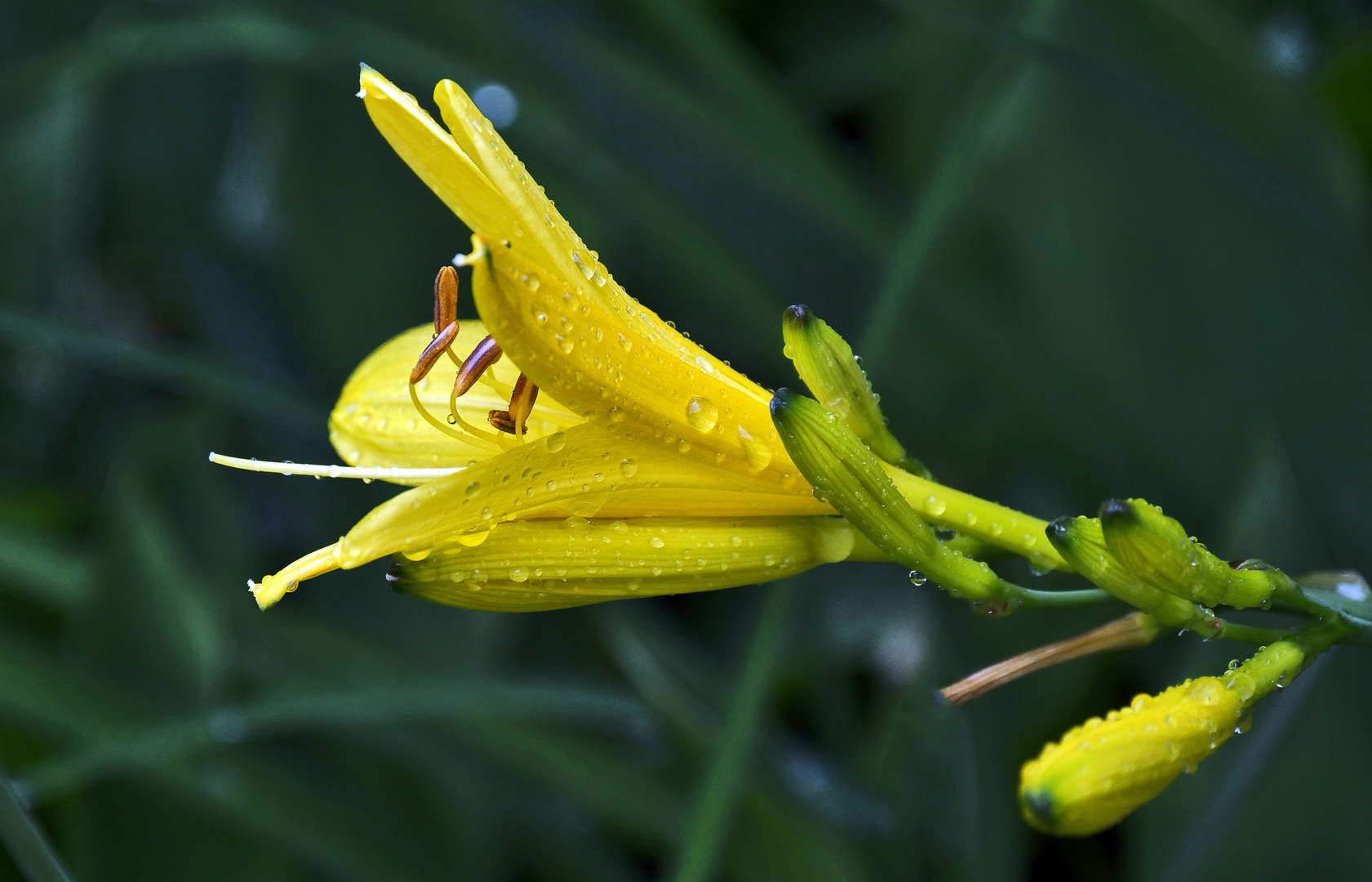 nach dem Gewitter...