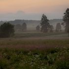 Nach dem Gewitter