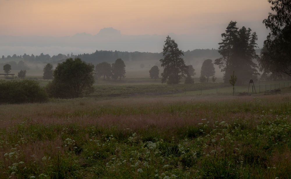 Nach dem Gewitter