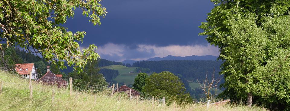 Nach dem Gewitter