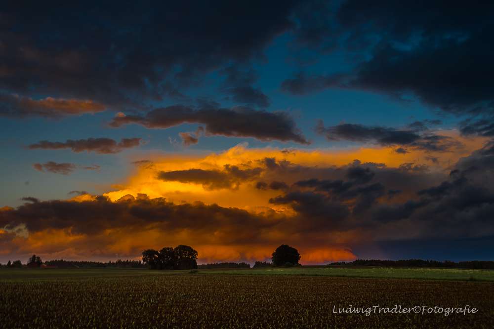 nach dem Gewitter