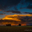 nach dem Gewitter