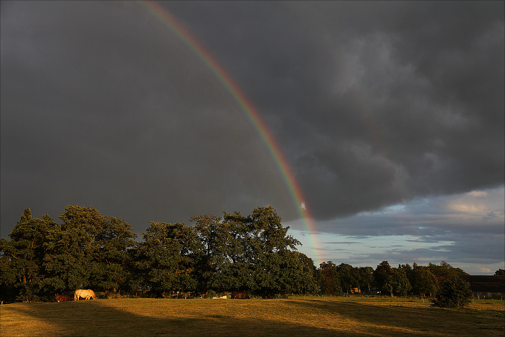 Nach dem Gewitter