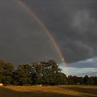 Nach dem Gewitter