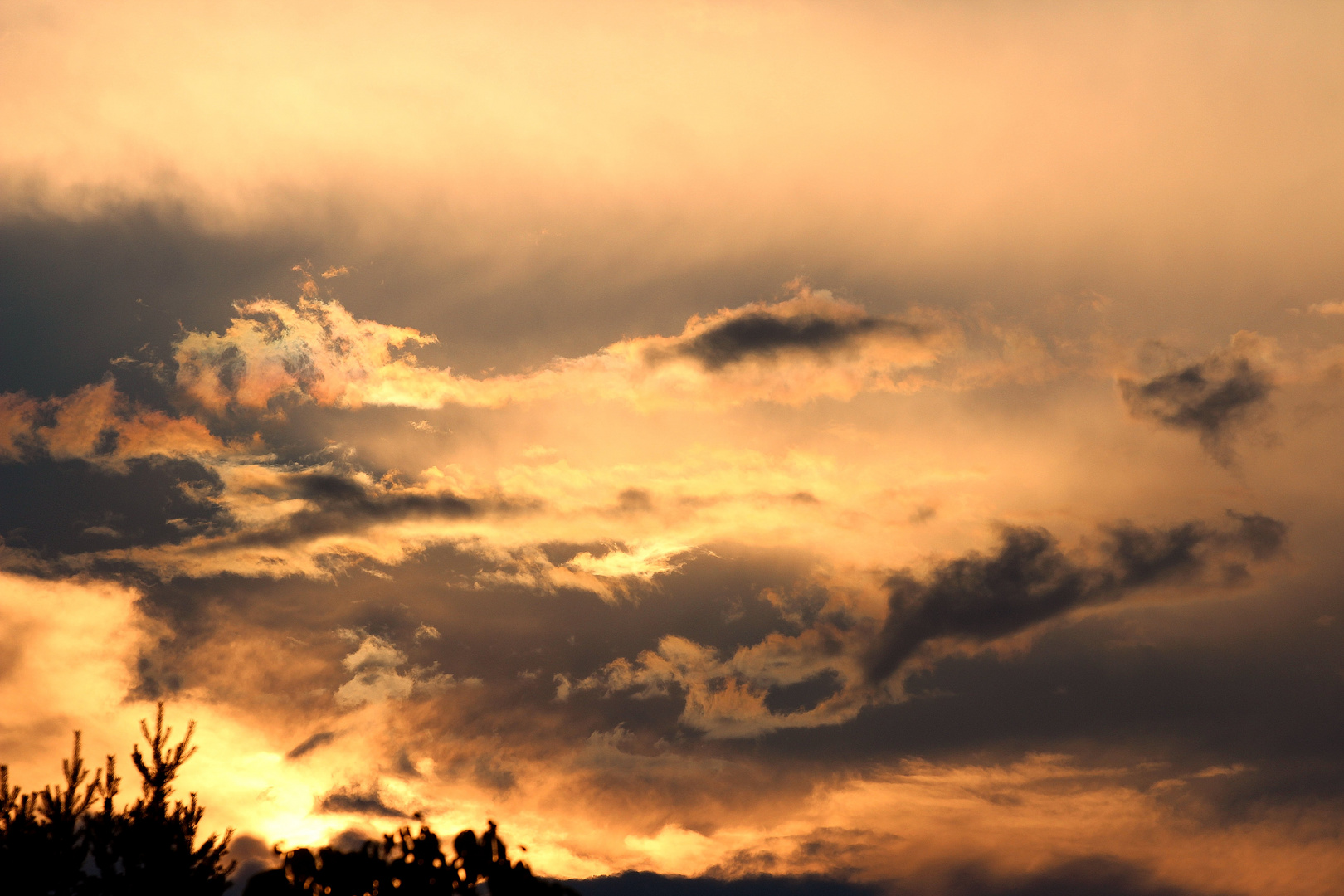 Nach dem Gewitter