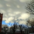 Nach dem Gewitter