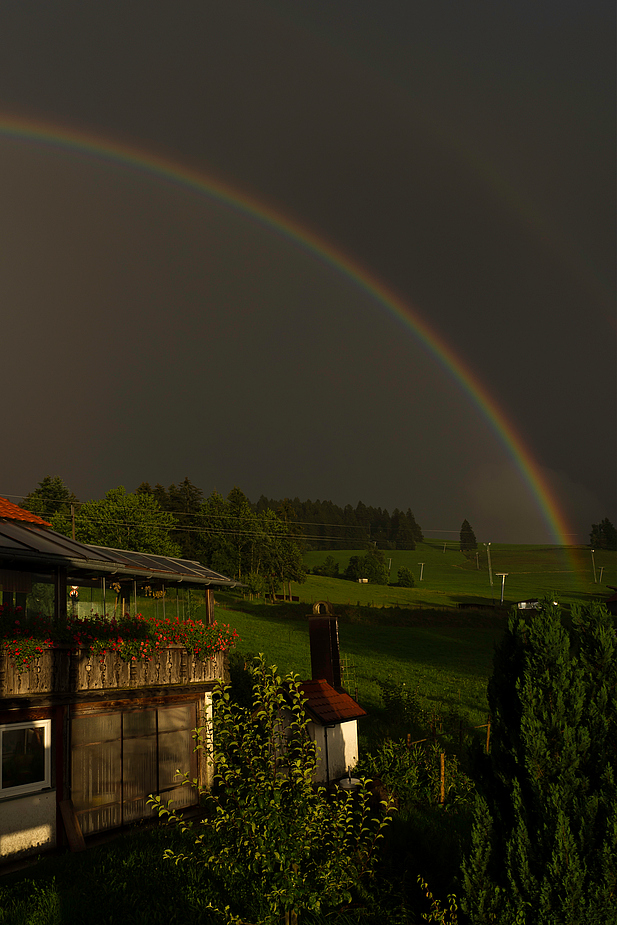 Nach dem Gewitter