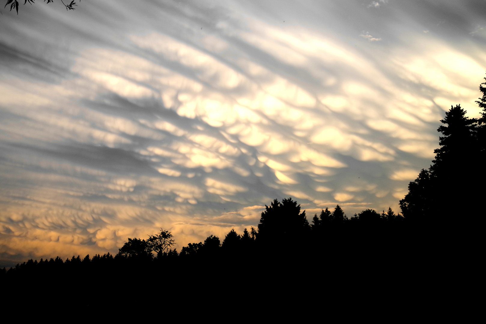 Nach dem Gewitter