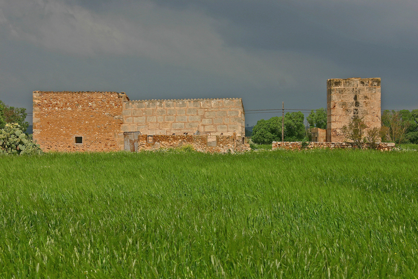 Nach dem Gewitter