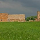 Nach dem Gewitter