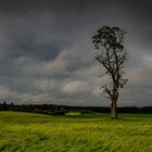 Nach dem Gewitter