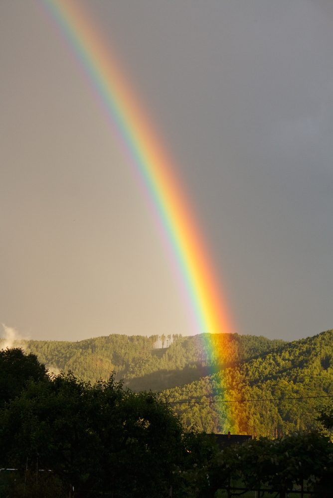 Nach dem Gewitter...