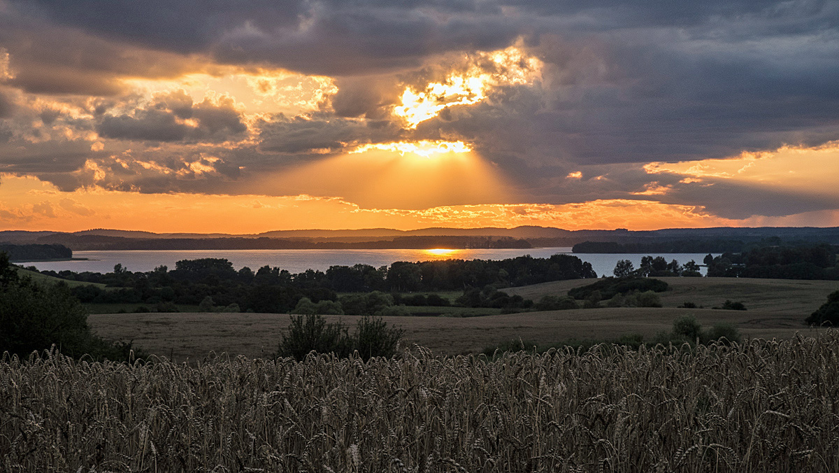 Nach dem Gewitter.