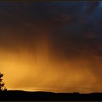 Nach dem Gewitter I