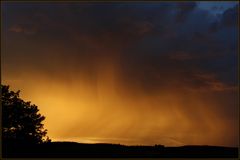 Nach dem Gewitter I