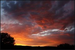 Nach dem Gewitter II