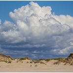 Nach dem Gewitter in der Nacht... - diese Cumulus-Pracht... 