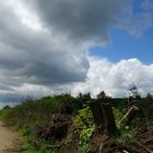 Nach dem Gewitter ist vor dem Gewitter...