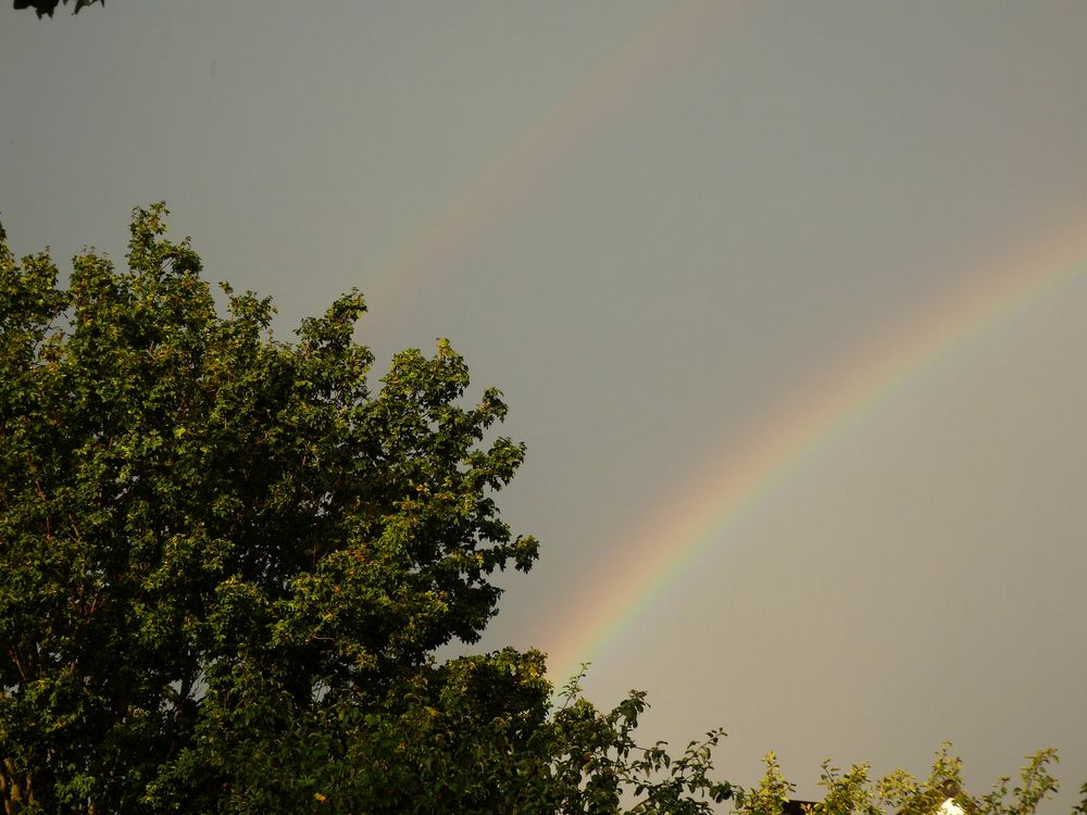 Nach dem Gewitter - Regenbogen über Münster