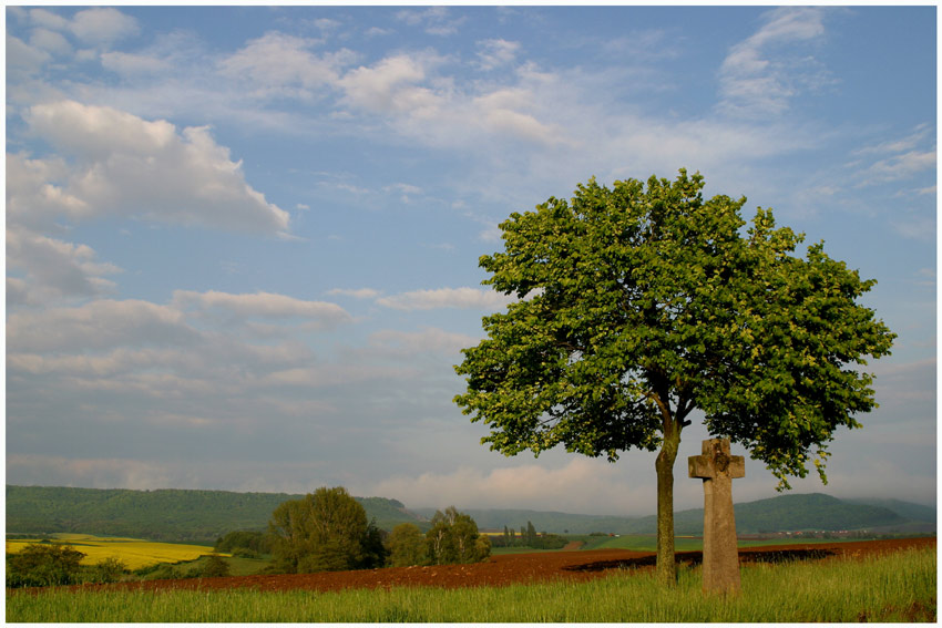 Nach dem Gewitterregen