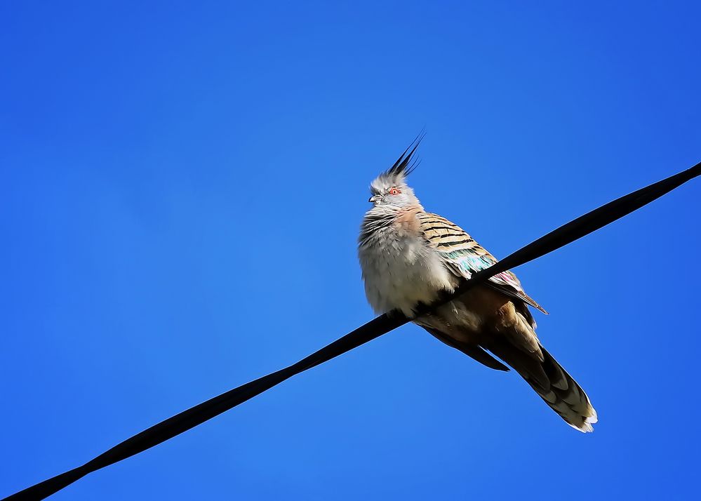 Nach dem Griff in die Steckdose