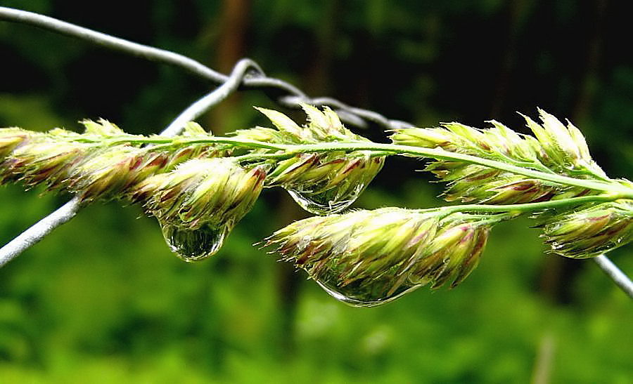 Nach dem großen Regen