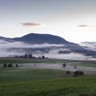 Nach dem großen Regen 2