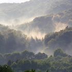 Nach dem großen Regen