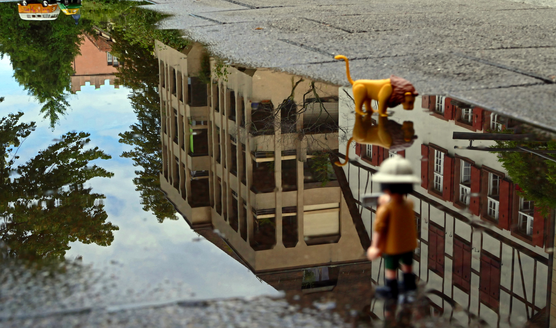 Nach dem grossen Regen 3