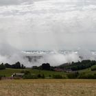 Nach dem großen Regen