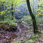 Nach dem großen Regen