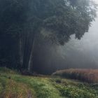 Nach dem großen Regen