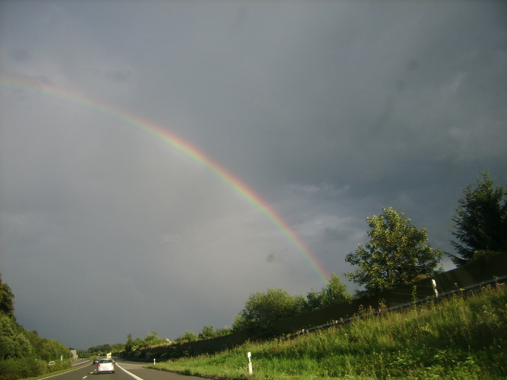 Nach dem grossen Regen