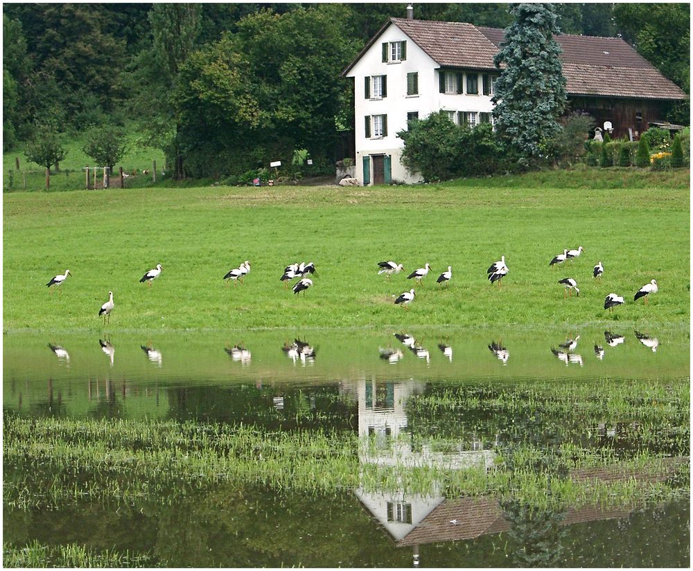 nach dem grossen Regen