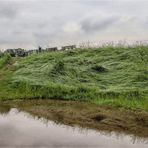 Nach dem großen Regen