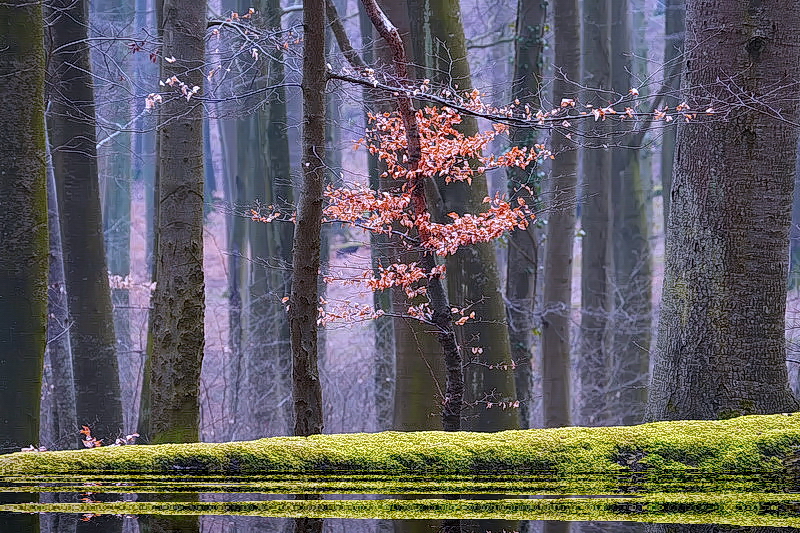 Nach dem großen Regen...