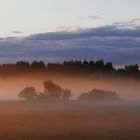 Nach dem grossen Regen