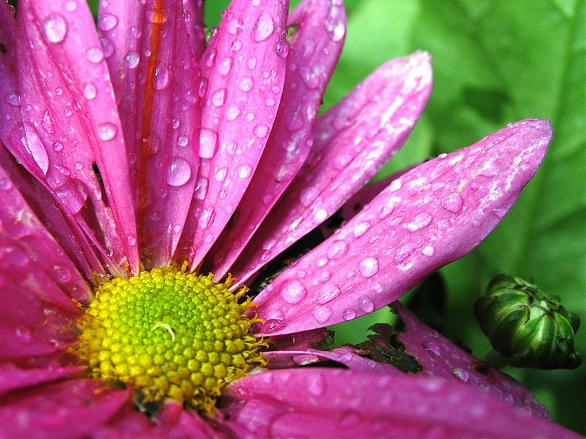 Nach dem großen Regen