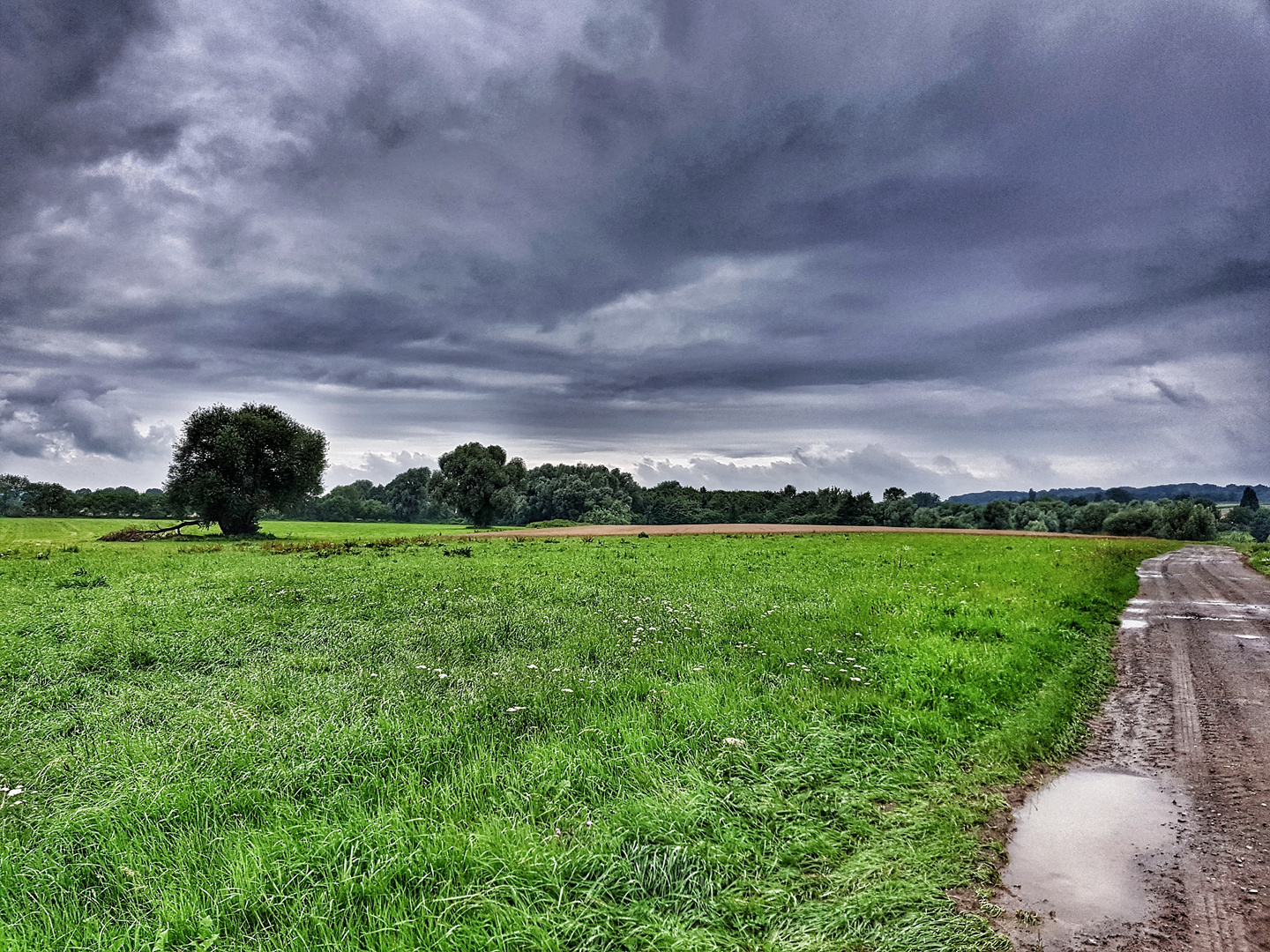 Nach dem großen Regen