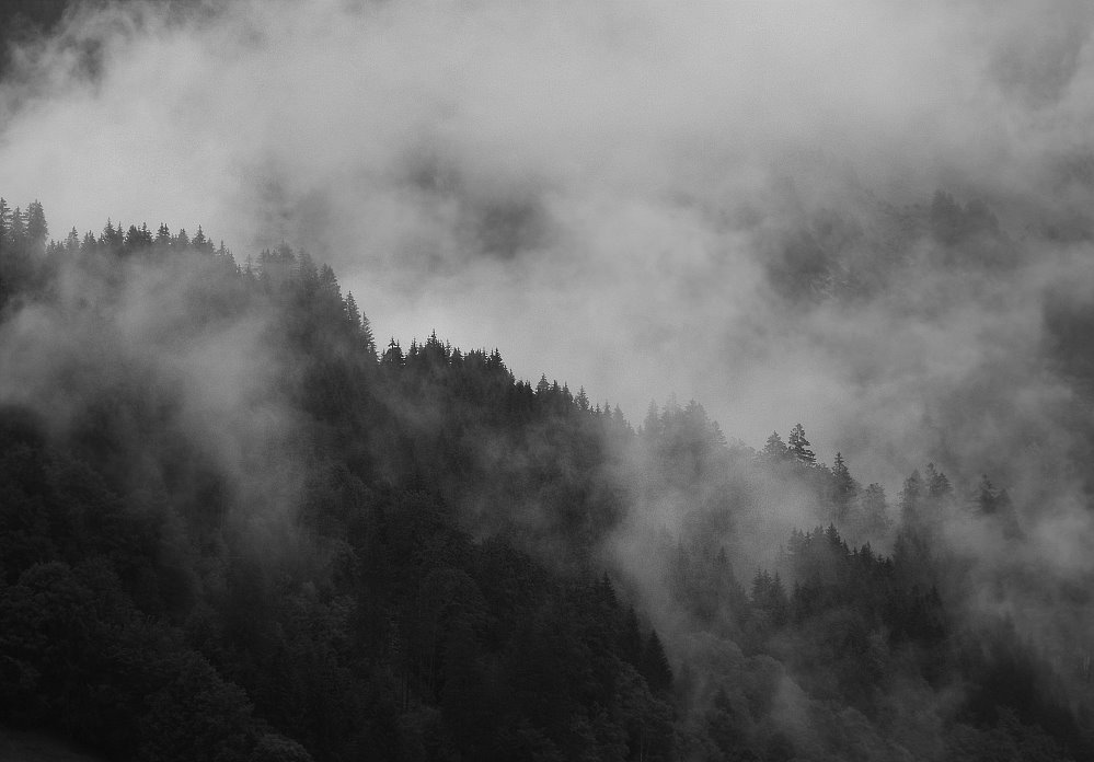 Nach dem großen Regen