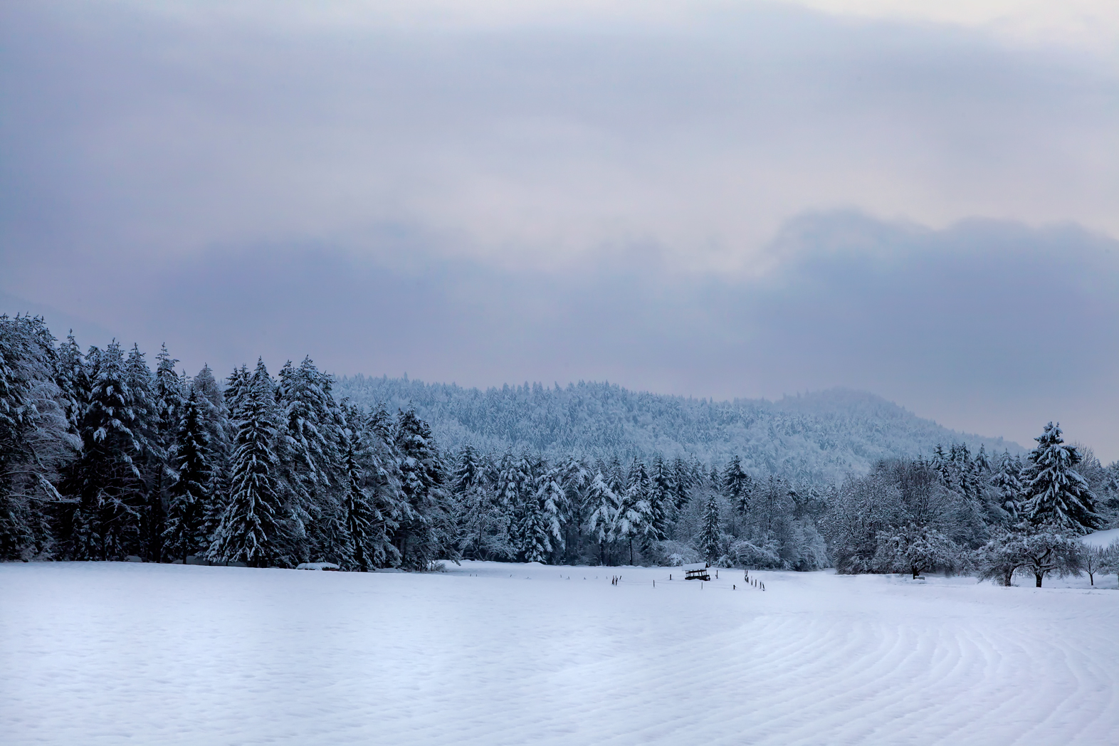 Nach dem großen Schneefall