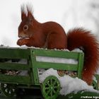 Nach dem großen Schneefall