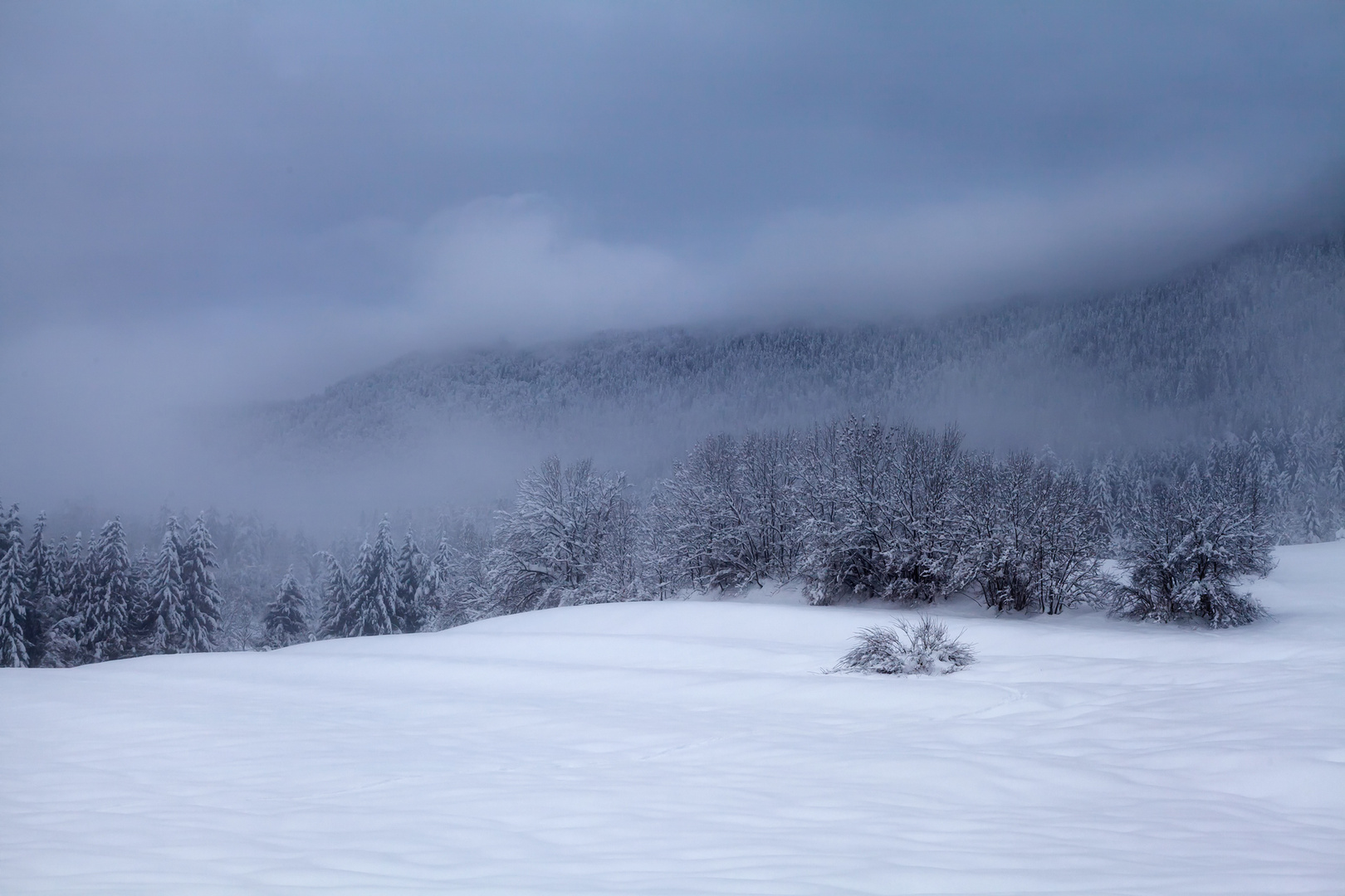 Nach dem großen Schneefall II