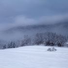 Nach dem großen Schneefall II