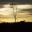 nach dem großen sturm