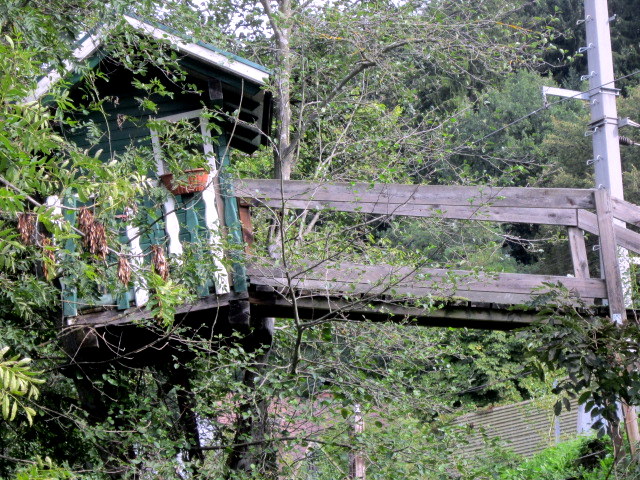 nach dem großen Sturm