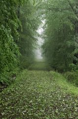 Nach dem Hagel